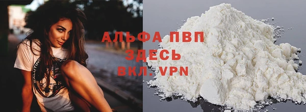 PSILOCYBIN Лагань