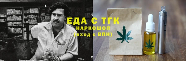шишки Лабытнанги
