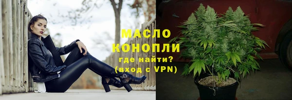 шишки Лабытнанги