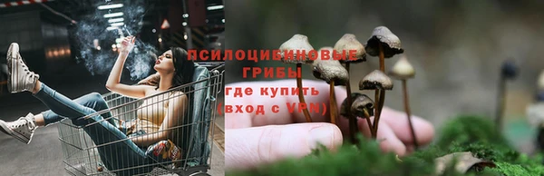 шишки Лабытнанги