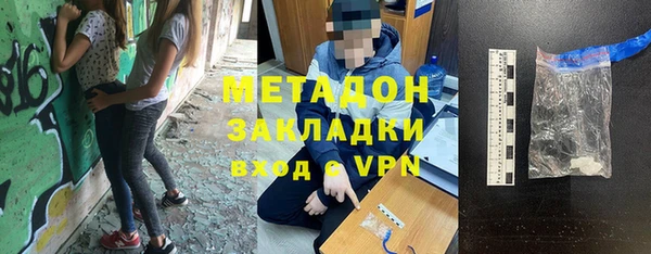 шишки Лабытнанги