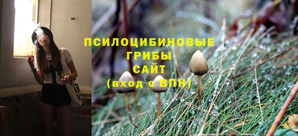 PSILOCYBIN Лагань
