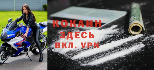 шишки Лабытнанги