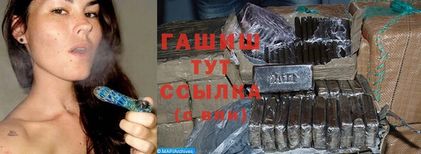шишки Лабытнанги