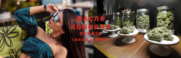 шишки Лабытнанги