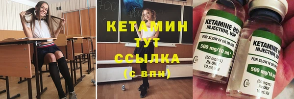 шишки Лабытнанги