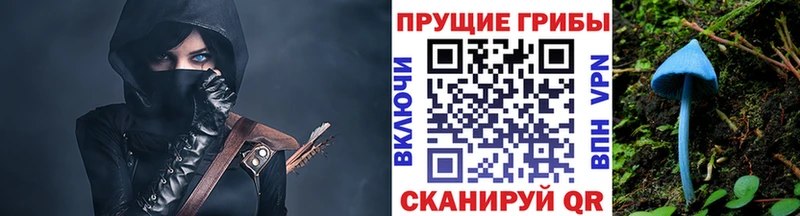 Галлюциногенные грибы мухоморы Купить где Гагарин